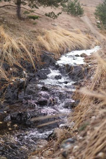 Willa Wild Nest Zlatibor Bear Zewnętrze zdjęcie