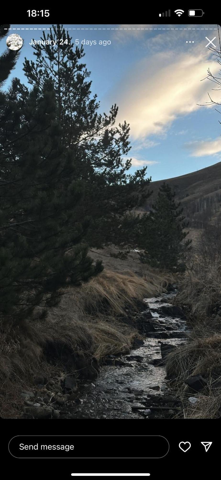 Willa Wild Nest Zlatibor Bear Zewnętrze zdjęcie