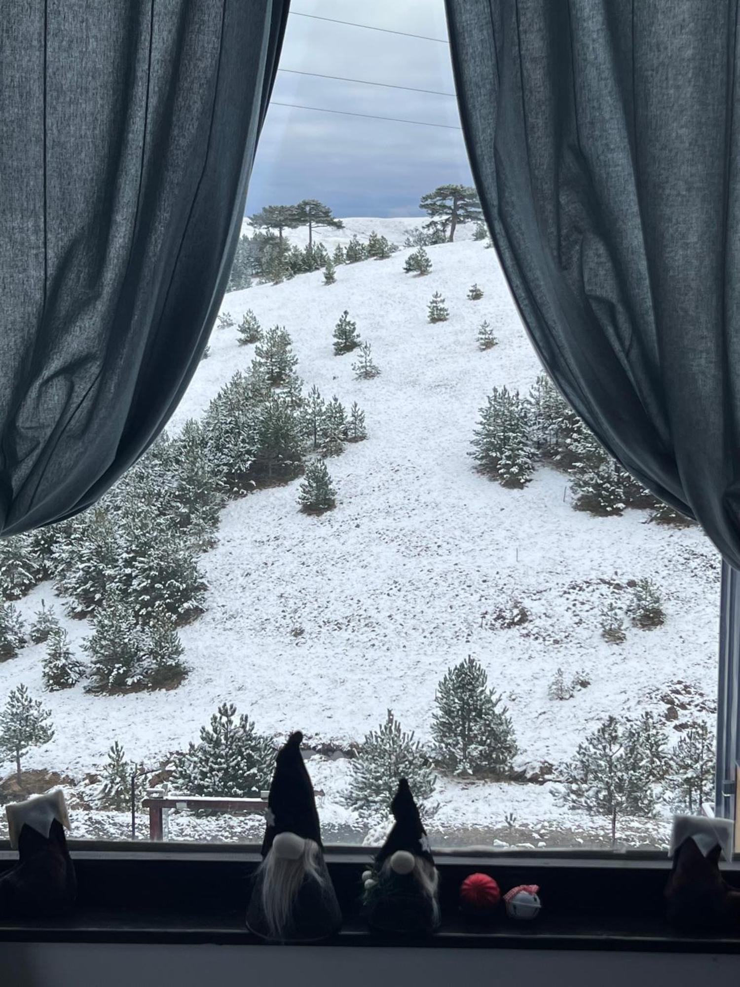 Willa Wild Nest Zlatibor Bear Zewnętrze zdjęcie